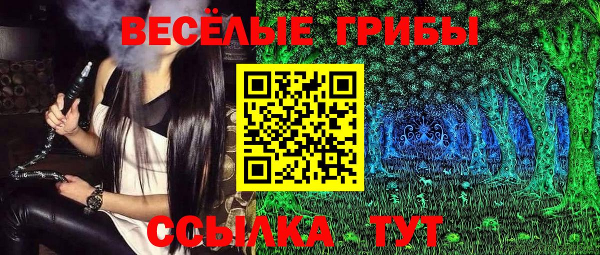 Галлюциногенные грибы Psilocybine cubensis  Галлюциногенные грибы Magic Shrooms  Вход с VPN  Сорочинск 